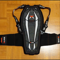 Paraschiena Alike Esatech Back Pro X7 – Liv.2