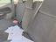 Immagine 6