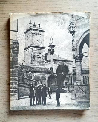 Libro sui cent'anni della banca Friuli