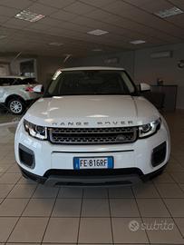 Land Rover Range Evoque 2.0 TD4 150 CV 5p. Pure