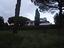 Immagine 9