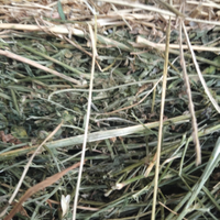 Fieno di erba medica