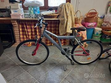 Mountainbike e altri oggetti