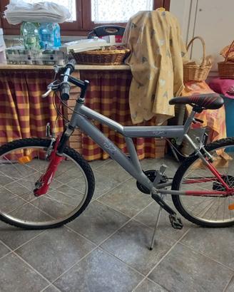 Mountainbike e altri oggetti