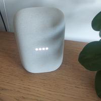 Google Nest Audio grigio