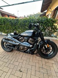 Harley Sportster s