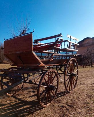 Carrozza cavalli