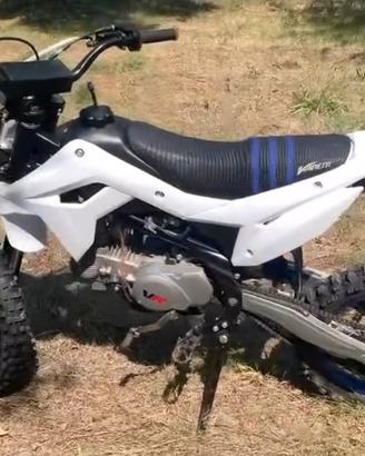 pit bike 140cc 4t