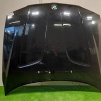 COFANO ANTERIORE BMW X3 1Â° Serie 6 917 364 (04>10