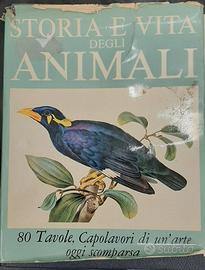 Storia e vita degli animali - 80 Tavole