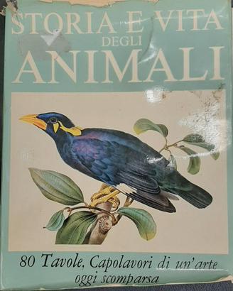 Storia e vita degli animali - 80 Tavole