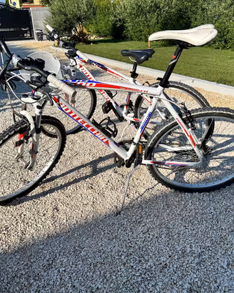 Montainbike uomo+donna Bottecchia