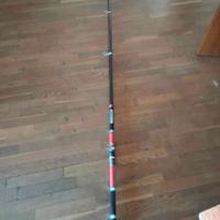 canna da pesca Daiwa 