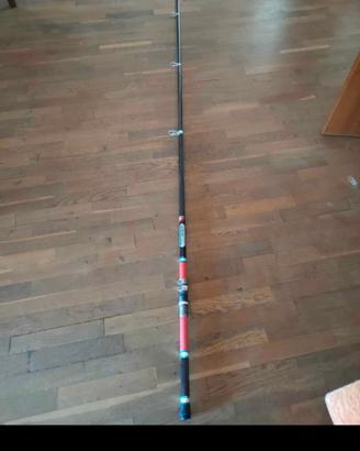 canna da pesca Daiwa 