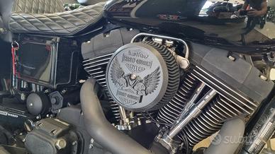 Coperchio filtro Harley Davidson Stage 1 con vite