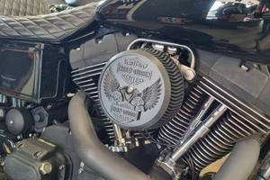 Coperchio filtro Harley Davidson Stage 1 con vite