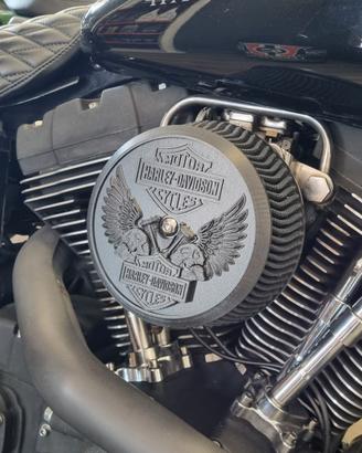 Coperchio filtro Harley Davidson Stage 1 con vite