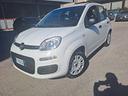 fiat-panda-1-2-easy