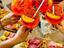 Immagine 14