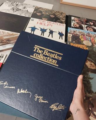 The beatles collection cofanetto vinili