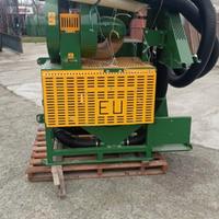 raccogli castagne e nocciole