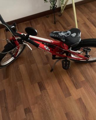 Bicicletta bambini 