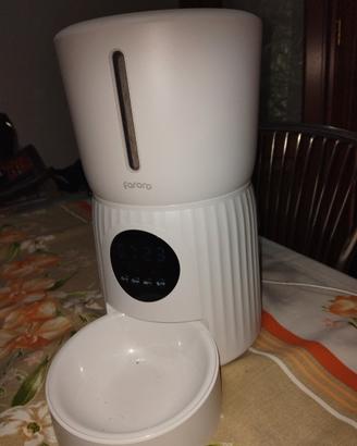 mangiatoia automatica gatto 