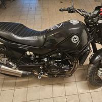 BENELLI LEONCINO X TRAIL