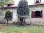 Immagine 12