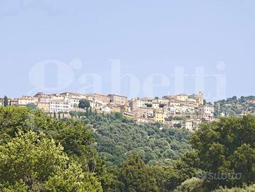 Appartamento Scarlino [025/S024VRG]