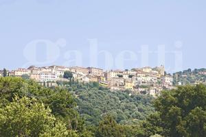 Appartamento Scarlino [025/S024VRG]