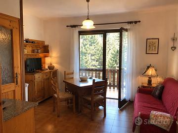 Grazioso bilocale con balcone a Barzio