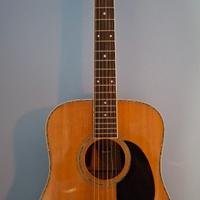 Chitarra acustica 9 corde