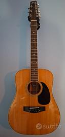 Chitarra acustica 9 corde