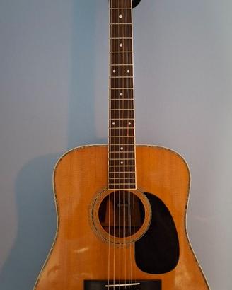 Chitarra acustica 9 corde