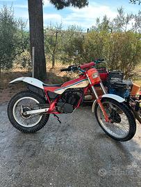 Fantic trial 301