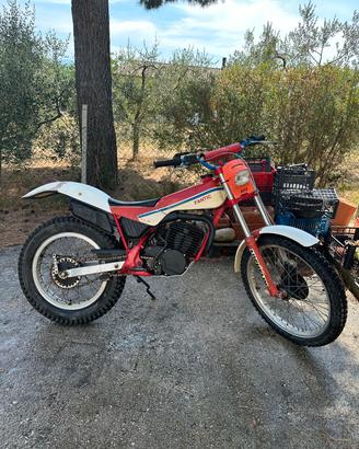 Fantic trial 301