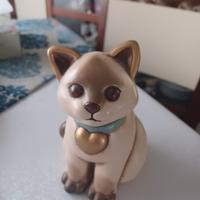 gatto della thum 