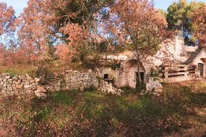 Antico frantoio di famiglia + terreno agricolo