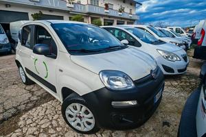 Fiat panda 4x4 van