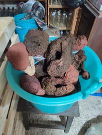Rocce vulcaniche per acquario