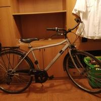 bicicletta Denver Villa Park cerchi 28