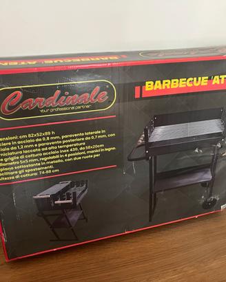Barbecue NUOVO in scatola