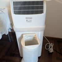 De Longhi Pinguino Compact 8300 btu in garanzia