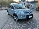 fiat-panda-1000-hybrid-70cv-2022