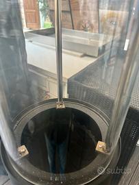 Funghi a pallet da esterno