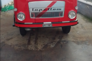 Om lupetto 25 solo indeditori