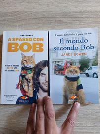 A spasso con Bob - Il mondo secondo Bob 