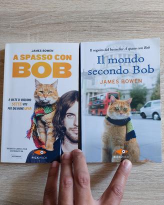 A spasso con Bob - Il mondo secondo Bob 
