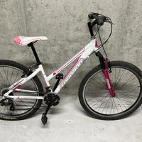 bicicletta MTB torpado